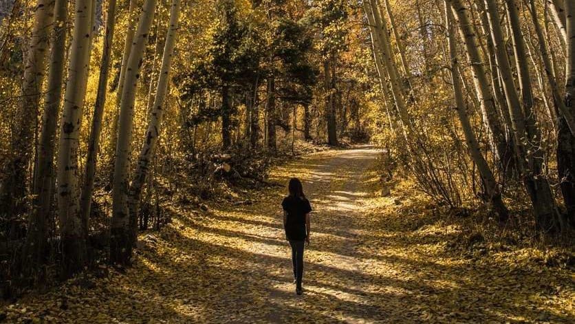 Penjelasan Klasifikasi Sumber Daya Alam dan Penyebab Rusaknya SDA Penjelasan Klasifikasi Sumber Daya Alam dan Penyebab Rusaknya SDA