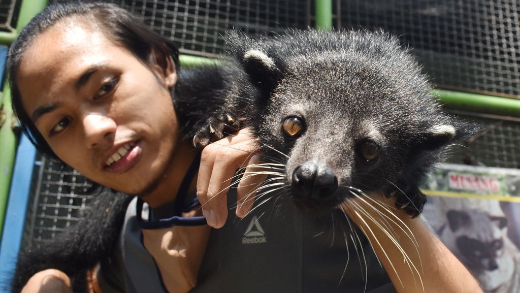 Donasi untuk Satwa Kebun Binatang Mendukung Perbudakan Hewan?