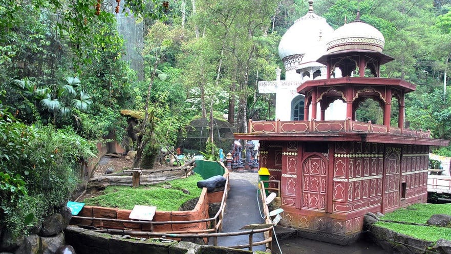 Taman Safari Mengaku Tak Berafiliasi dengan Sirkus OCI Taman Safari Mengaku Tak Berafiliasi dengan Sirkus OCI