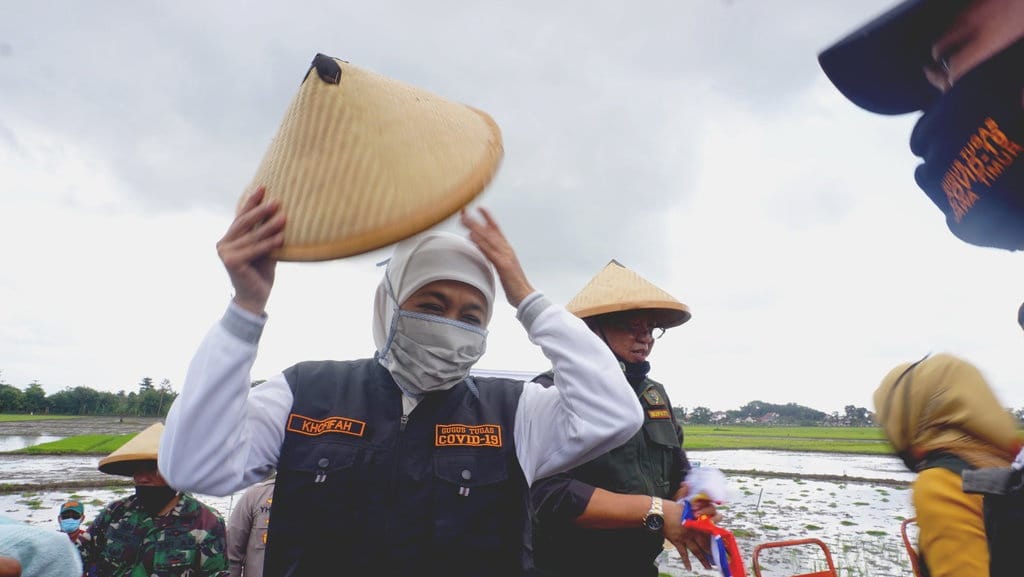 Memanen Generasi Kerdil dari Pandemi COVID-19