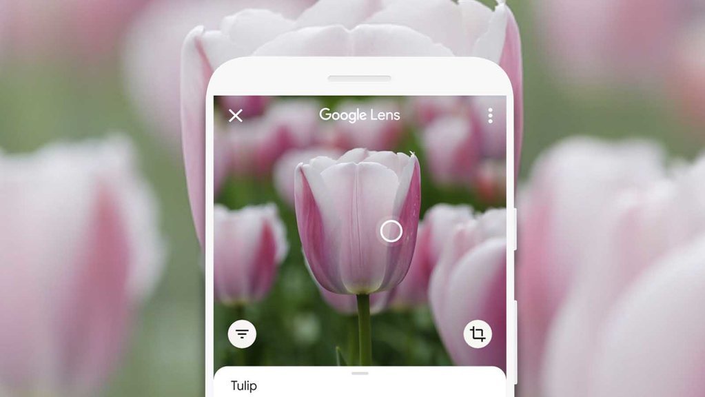 Google Lens Rilis 3 Fitur Baru untuk Bantu Produktivitas Selama WFH Google Lens Rilis 3 Fitur Baru untuk Bantu Produktivitas Selama WFH
