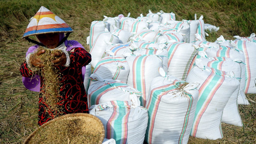 Menelaah Badan Pangan Nasional Era Jokowi di Tengah Sengkarut Impor Menelaah Badan Pangan Nasional Era Jokowi di Tengah Sengkarut Impor