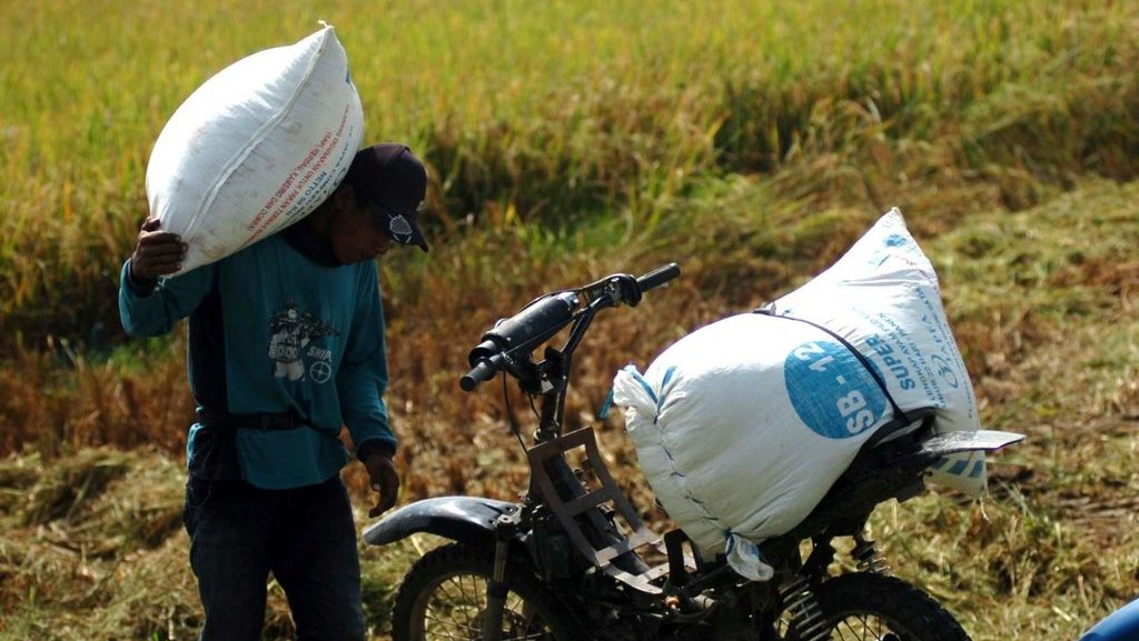 Jokowi Mau Petani & Nelayan Gunakan Konsep Bisnis Korporasi