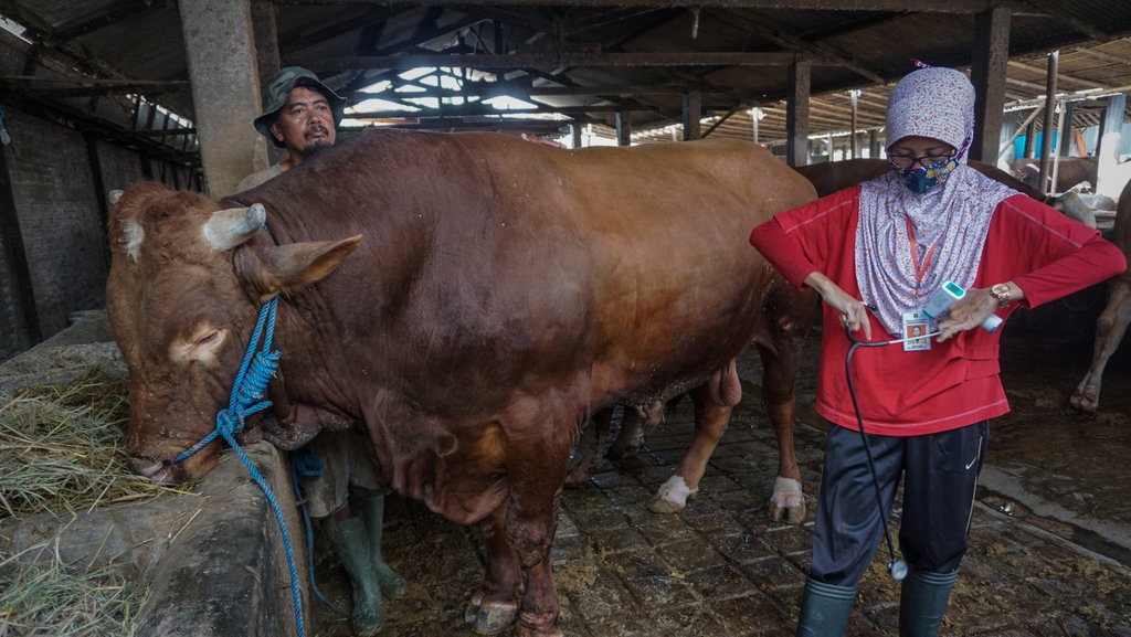 Jokowi Salat Idul Adha di Istana Bogor & Beri Kurban ke 34 Provinsi