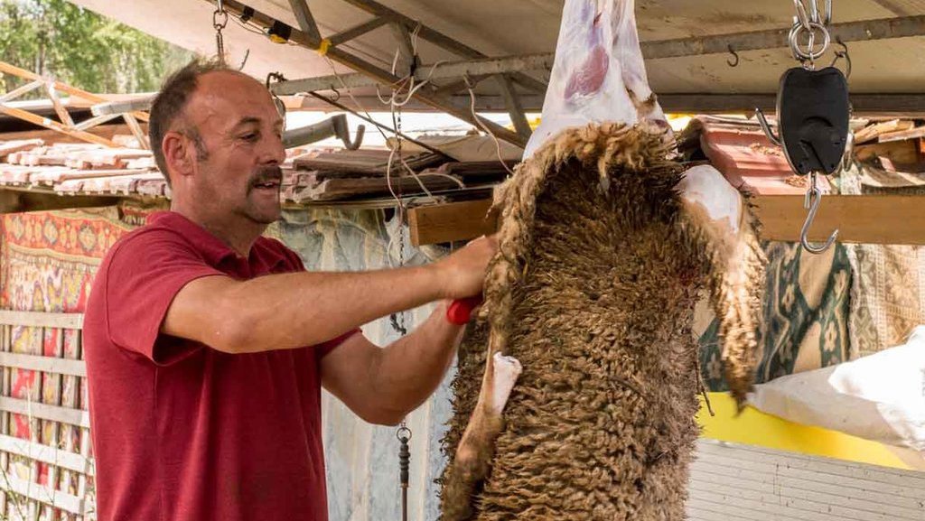 Daftar Ucapan Selamat Idul Adha 2022 Bahasa Inggris dan Indonesia