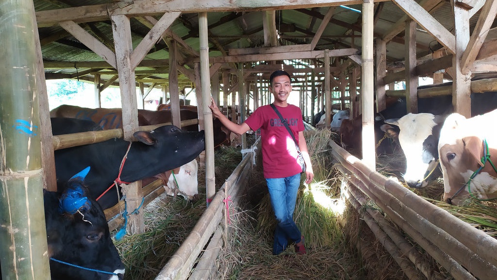 Kisah Para Jagal Iduladha: Seni Menyembelih Hewan Kurban Antigagal Kisah Para Jagal Iduladha: Seni Menyembelih Hewan Kurban Antigagal