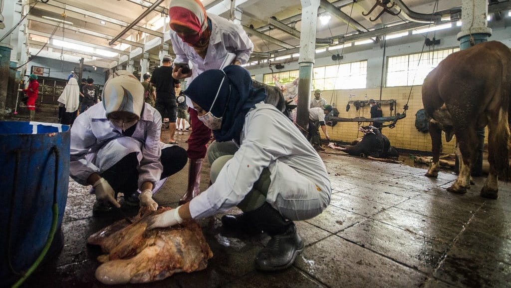 Lafaz Doa yang Dibaca Ketika Menyembelih Hewan Kurban Lafaz Doa yang Dibaca Ketika Menyembelih Hewan Kurban