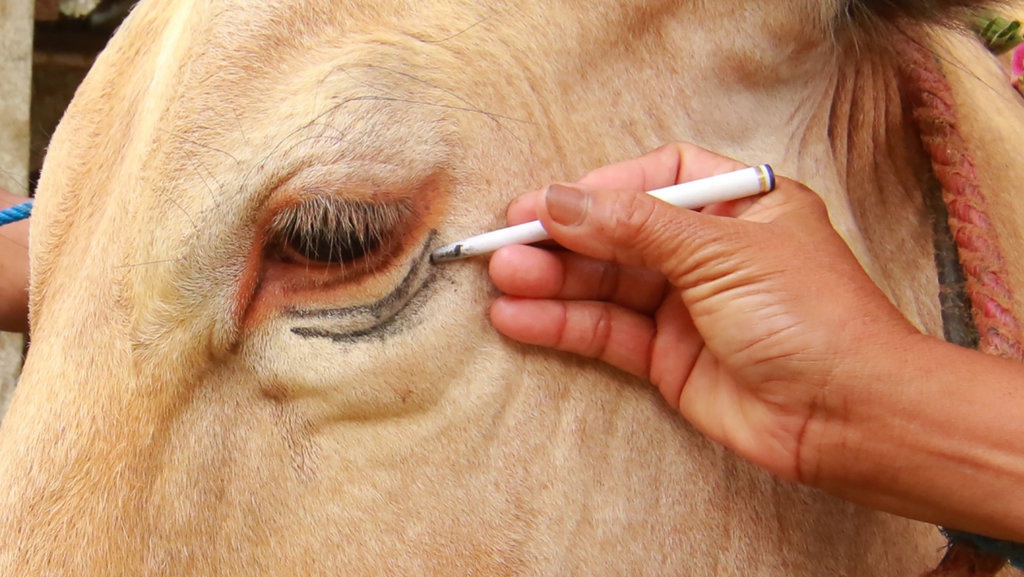 Kapan Batas Memotong Kuku dan Rambut sebelum Qurban Idul Adha 2021?