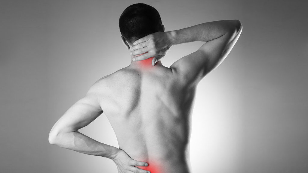 Materi Sistem Gerak pada Manusia: Otot, Tulang, Sendi & Soalnya