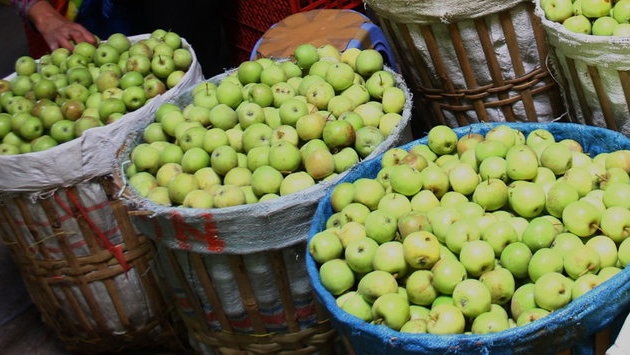 Manfaat Buah Apel dan Kandungan Nutrisinya yang Kaya Antioksidan Manfaat Buah Apel dan Kandungan Nutrisinya yang Kaya Antioksidan