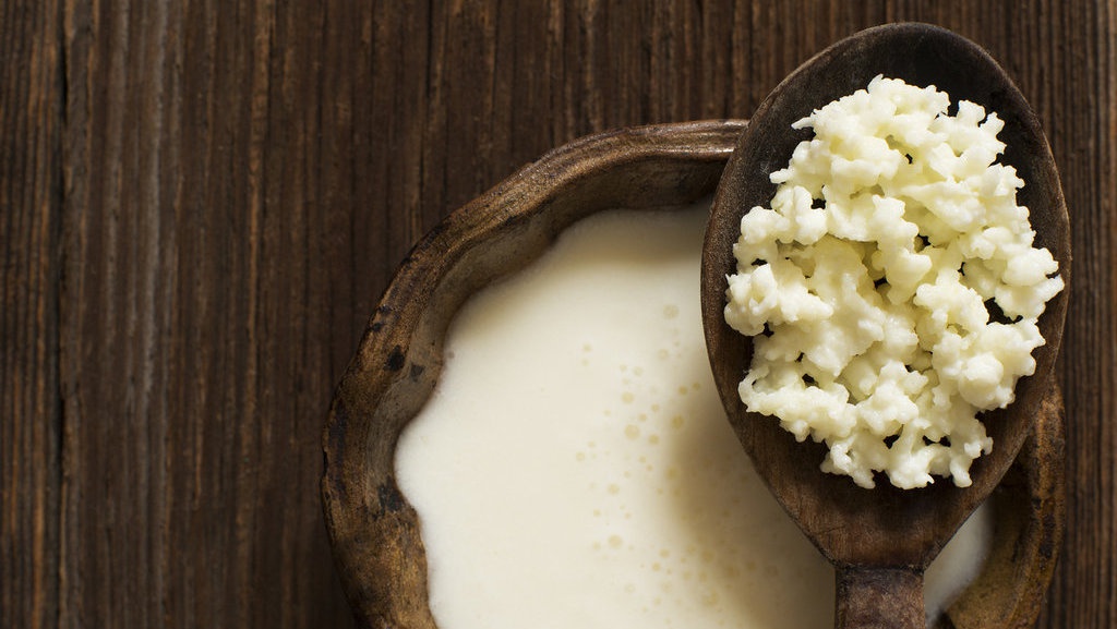 Manfaat Kefir Bagi Kesehatan: Kaya Nutrisi, Baik untuk Tulang Manfaat Kefir Bagi Kesehatan: Kaya Nutrisi, Baik untuk Tulang