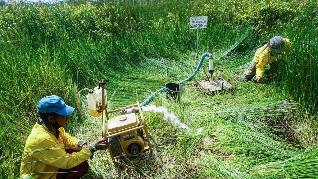 10 Contoh Sumber Daya Alam yang Tidak Dapat Diperbarui