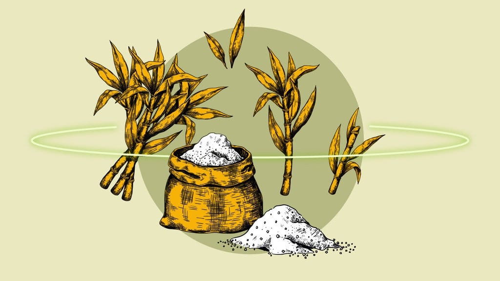 Bau Kentut Limbah Madukismo Milik Sultan Yogyakarta Bau Kentut Limbah Madukismo Milik Sultan Yogyakarta