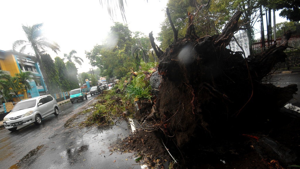 Manado Hari Ini: BMKG Prediksi Gelombang Tinggi Sampai 19 Januari Manado Hari Ini: BMKG Prediksi Gelombang Tinggi Sampai 19 Januari