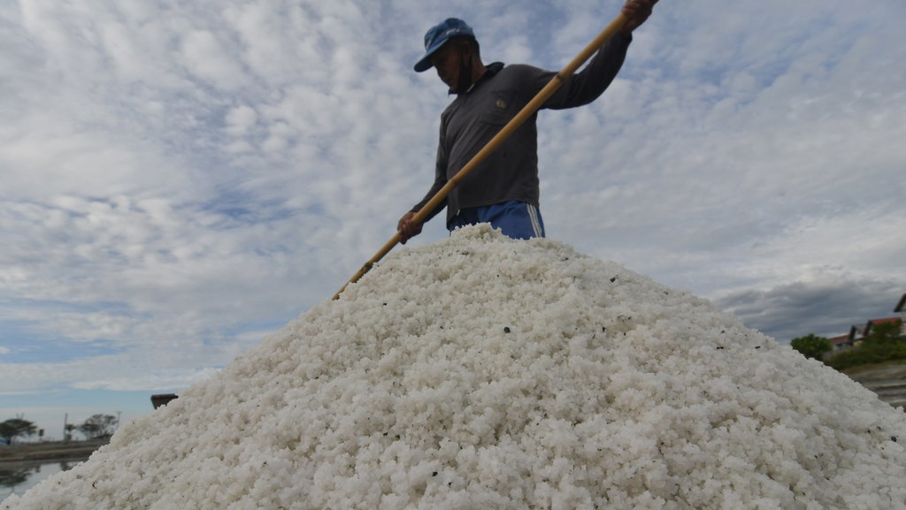 Pemerintah Dianggap Tak Peduli Petambak Garam karena Rajin Impor Pemerintah Dianggap Tak Peduli Petambak Garam karena Rajin Impor