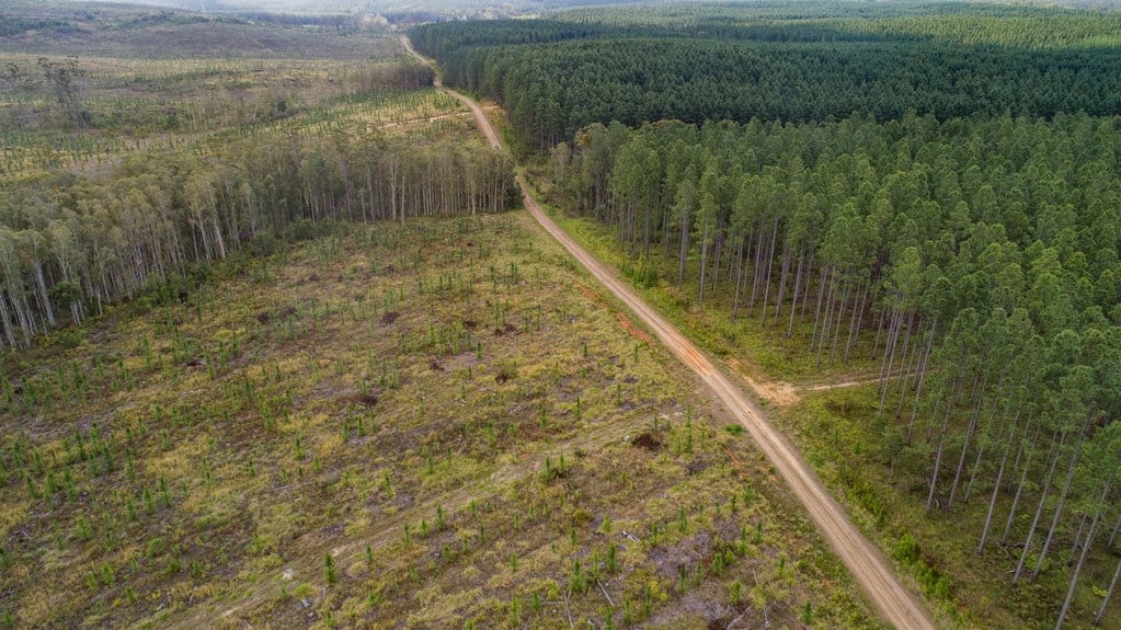 Potensi Sumber Daya Alam di Indonesia: Udara hingga Pariwisata Potensi Sumber Daya Alam di Indonesia: Udara hingga Pariwisata
