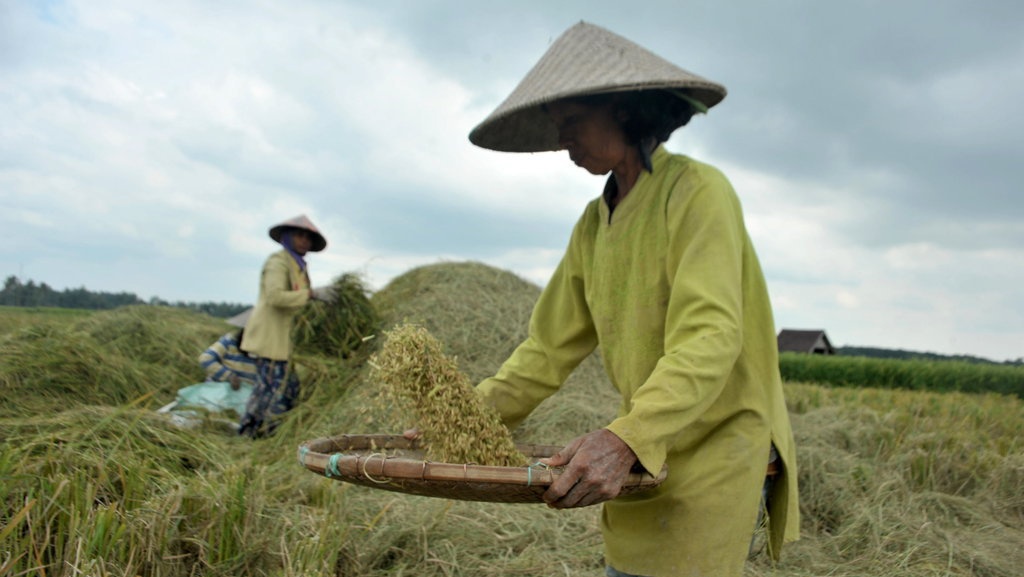 Mendag Lutfi Klarifikasi Impor Beras, Sebut Rendahnya Stok Bulog