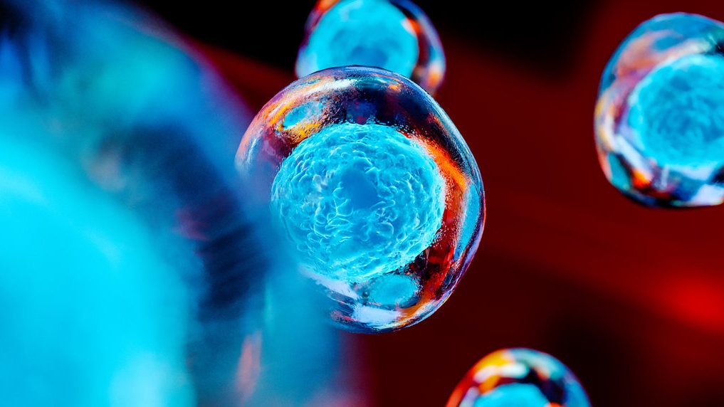 Manfaat Biologi di Bidang Industri, Pertanian, dan Kedokteran Manfaat Biologi di Bidang Industri, Pertanian, dan Kedokteran