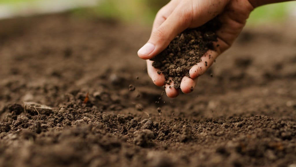 Pengertian Pedosfer, Ciri-Ciri, dan Contohnya Pengertian Pedosfer, Ciri-Ciri, dan Contohnya