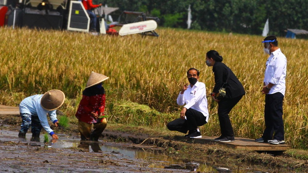 Jokowi Ingin Pemuda Mau jadi Petani, tapi Konflik Agraria Marak Jokowi Ingin Pemuda Mau jadi Petani, tapi Konflik Agraria Marak