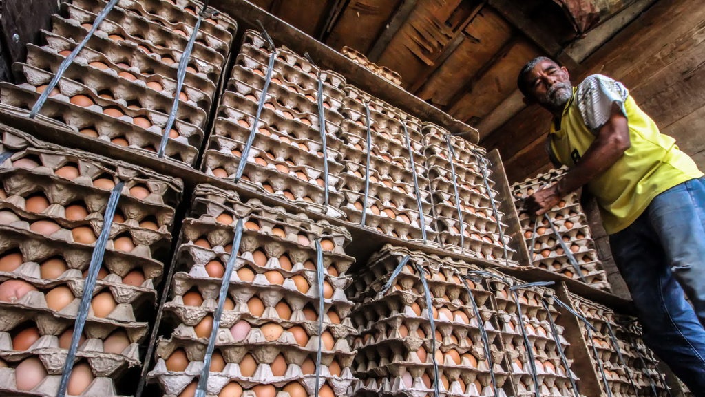 Penyebab Peternak Blitar Masih Demo Usai Perwakilan Bertemu Jokowi