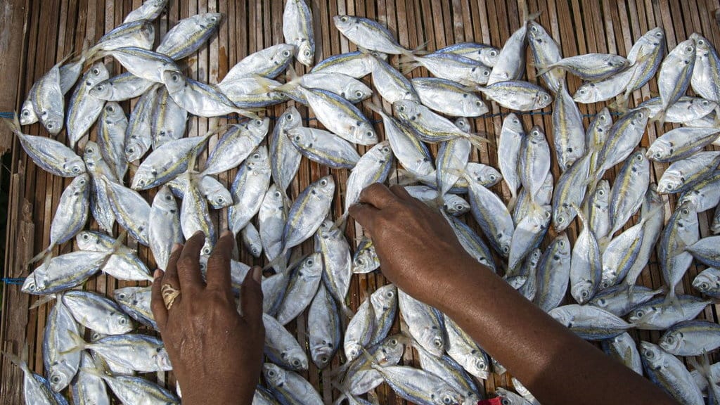 Rangkuman Sumber Daya Alam: Pengertian dan Jenisnya Rangkuman Sumber Daya Alam: Pengertian dan Jenisnya