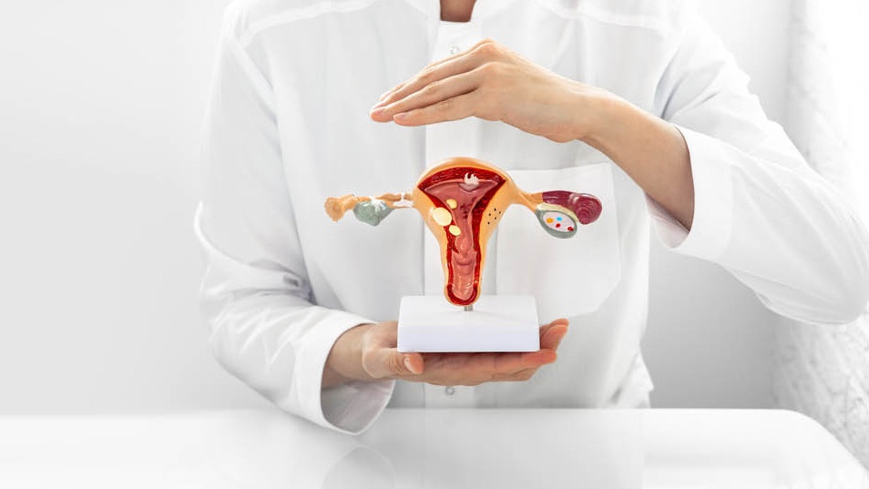 Apa Itu Tuba Fallopi dan Fungsinya dalam Reproduksi? Apa Itu Tuba Fallopi dan Fungsinya dalam Reproduksi?