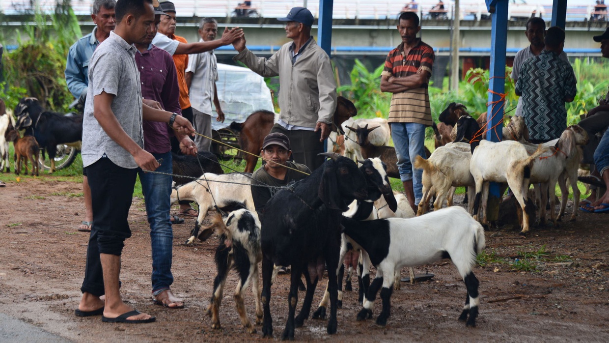 Ucapan Idul Adha dalam Bahasa Arab-Inggris Selain Eid Mubarak Ucapan Idul Adha dalam Bahasa Arab-Inggris Selain Eid Mubarak