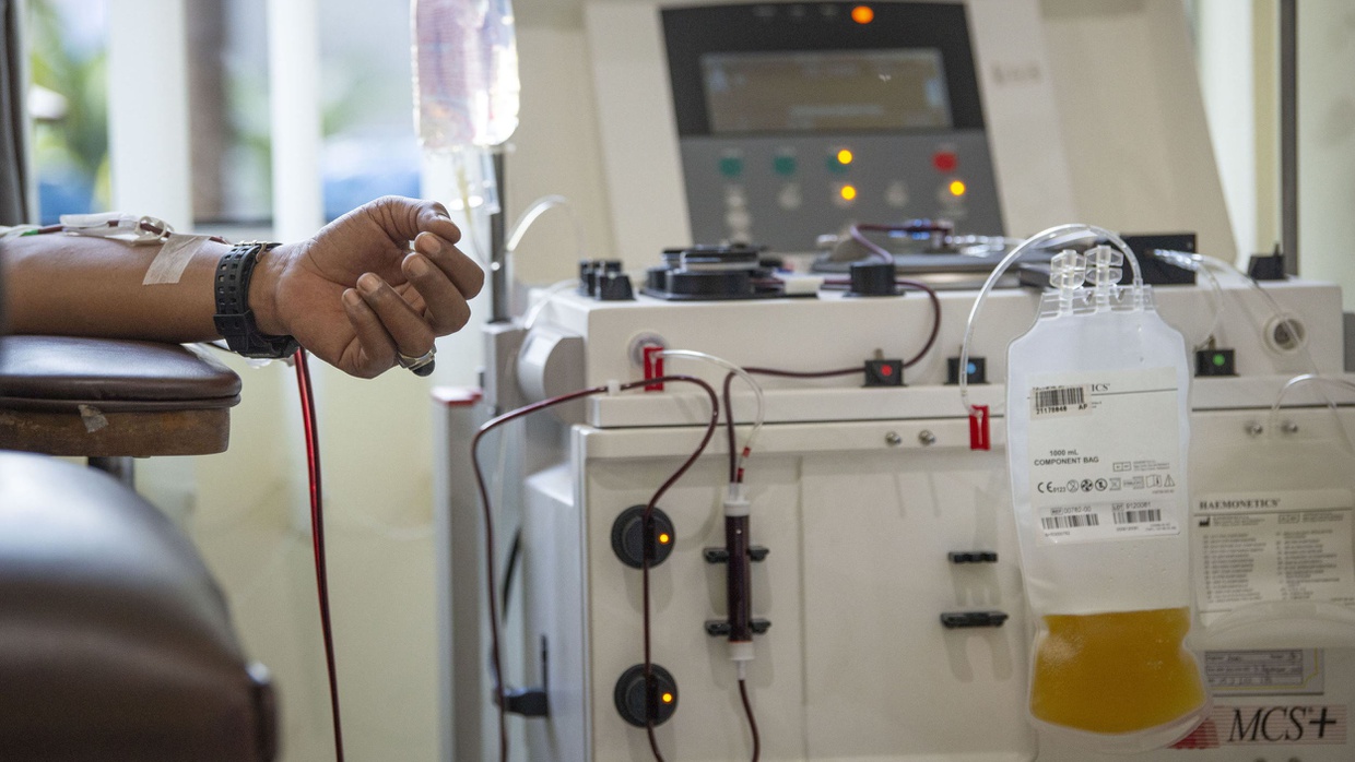 Terapi Plasma Konvalesen: Benarkah Bisa Sembuhkan Pasien COVID-19?