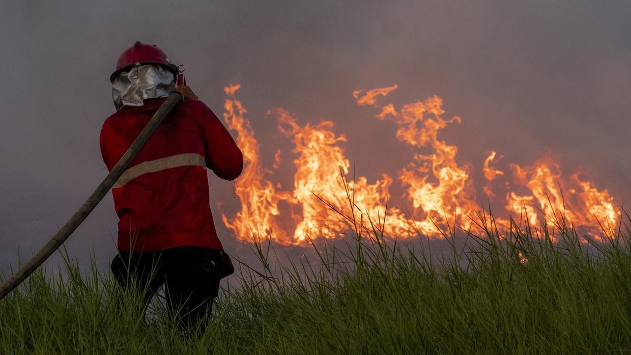 BNPB: Cuaca Panas di Indonesia Tingkatkan Potensi Karhutla BNPB: Cuaca Panas di Indonesia Tingkatkan Potensi Karhutla
