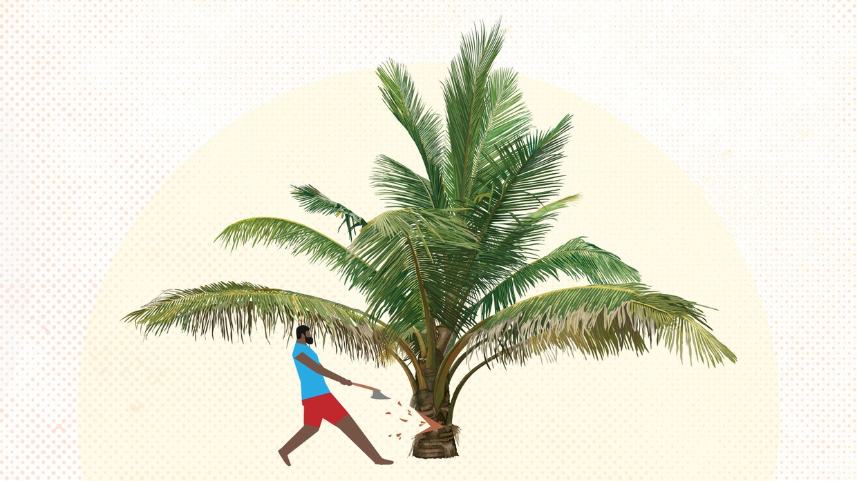 Suku Moi Papua Barat: Tak Dapat Vaksin Covid, Getol Melawan Sawit Suku Moi Papua Barat: Tak Dapat Vaksin Covid, Getol Melawan Sawit