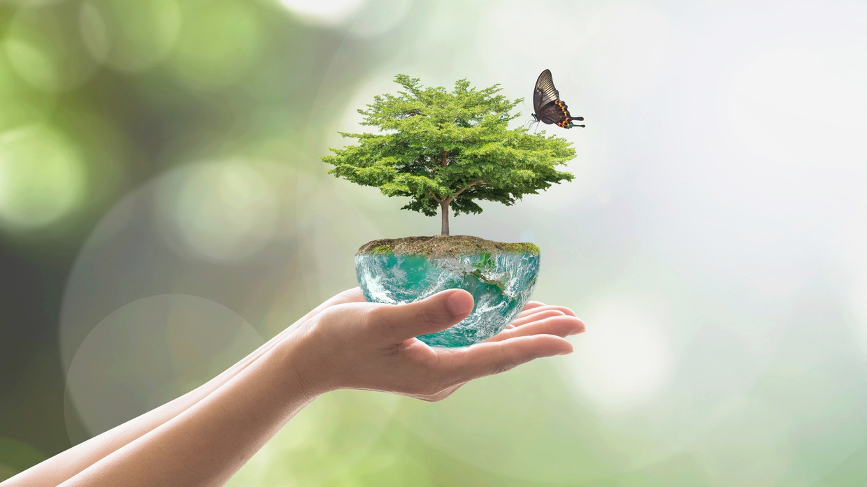 Hari Lingkungan Hidup Indonesia & Bagaimana Mencintai Lingkungan? Hari Lingkungan Hidup Indonesia & Bagaimana Mencintai Lingkungan?