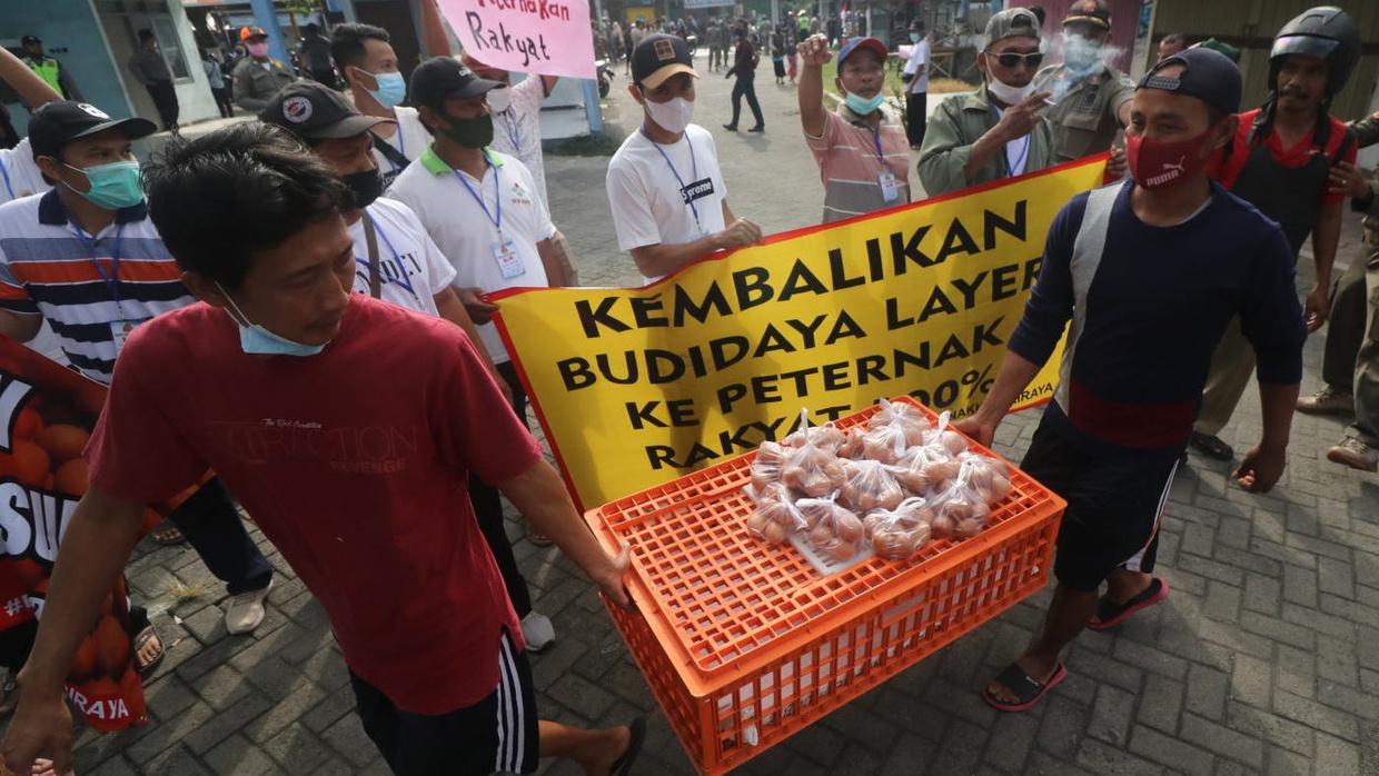 Penyebab Harga Telur Anjlok Hingga Memicu Demo Peternak Penyebab Harga Telur Anjlok Hingga Memicu Demo Peternak