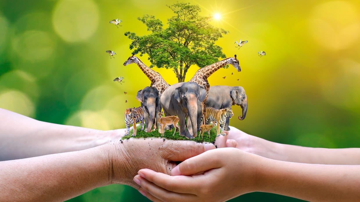 Mengapa Rantai Makanan di Suatu Ekosistem Tidak Boleh Terputus? Mengapa Rantai Makanan di Suatu Ekosistem Tidak Boleh Terputus?