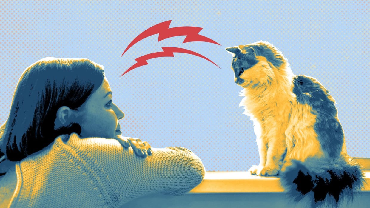 Menelisik Praktik Komunikasi dengan Hewan: Mitos atau Sains?