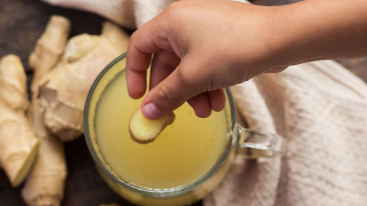 Mengetahui Jenis & Tahapan Budidaya Tanaman Obat Keluarga (TOGA)