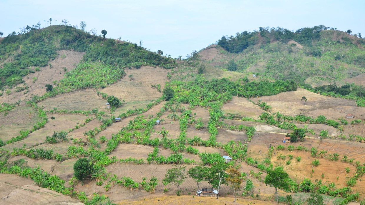 Mengenal Macam-Macam Bentuk Permukaan Bumi di Daratan