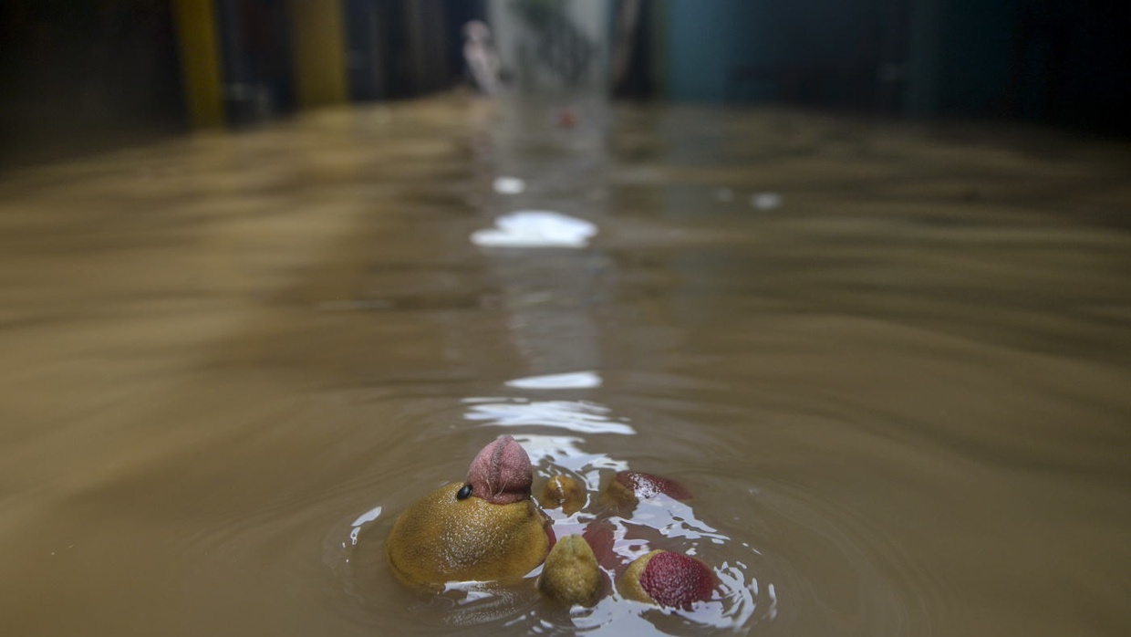 Berita Banjir Terkini di Kampung Melayu Akibat Ciliwung Meluap Berita Banjir Terkini di Kampung Melayu Akibat Ciliwung Meluap