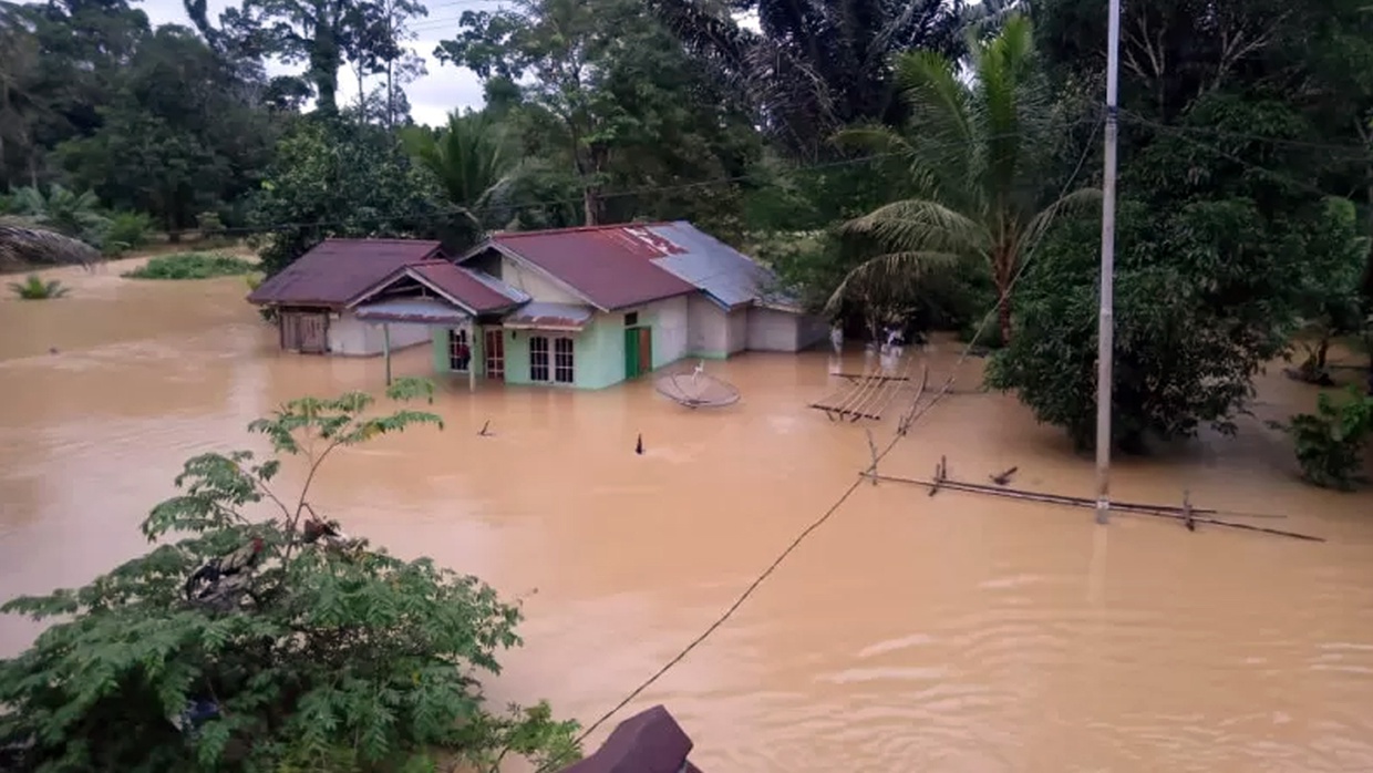 2 Ribu Hektare Lahan Padi di Kalbar Terdampak Banjir 2 Ribu Hektare Lahan Padi di Kalbar Terdampak Banjir