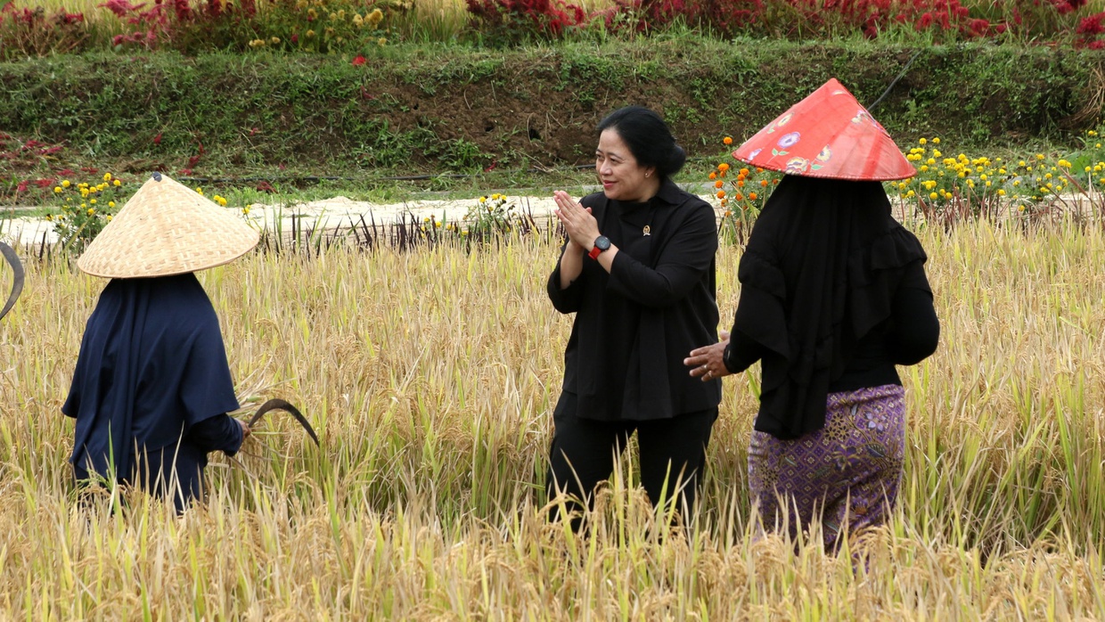 Puan atau Ganjar: PDIP Berpotensi Hilang Suara Bila Salah Pilih?