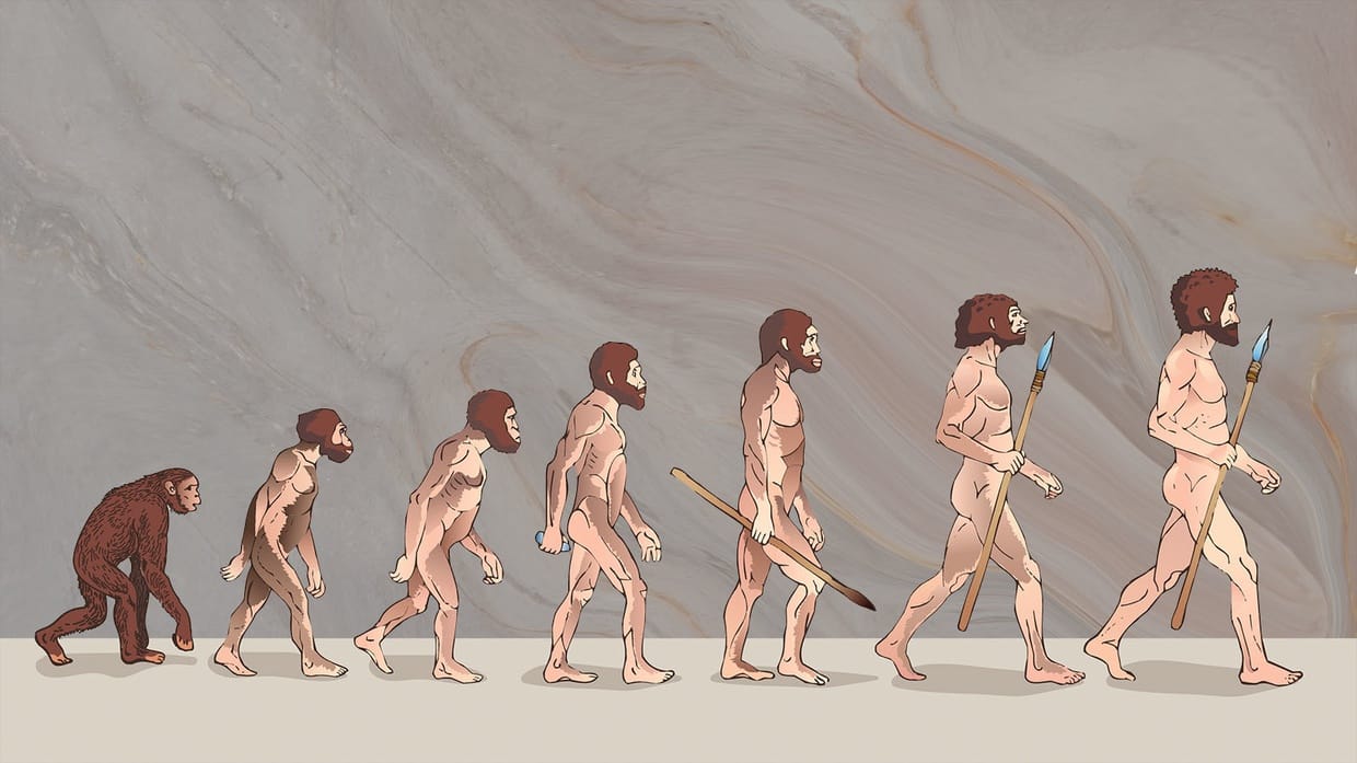 Mengenal Isi Teori Hukum Hardy Weinberg, Rumus, dan Syaratnya Mengenal Isi Teori Hukum Hardy Weinberg, Rumus, dan Syaratnya