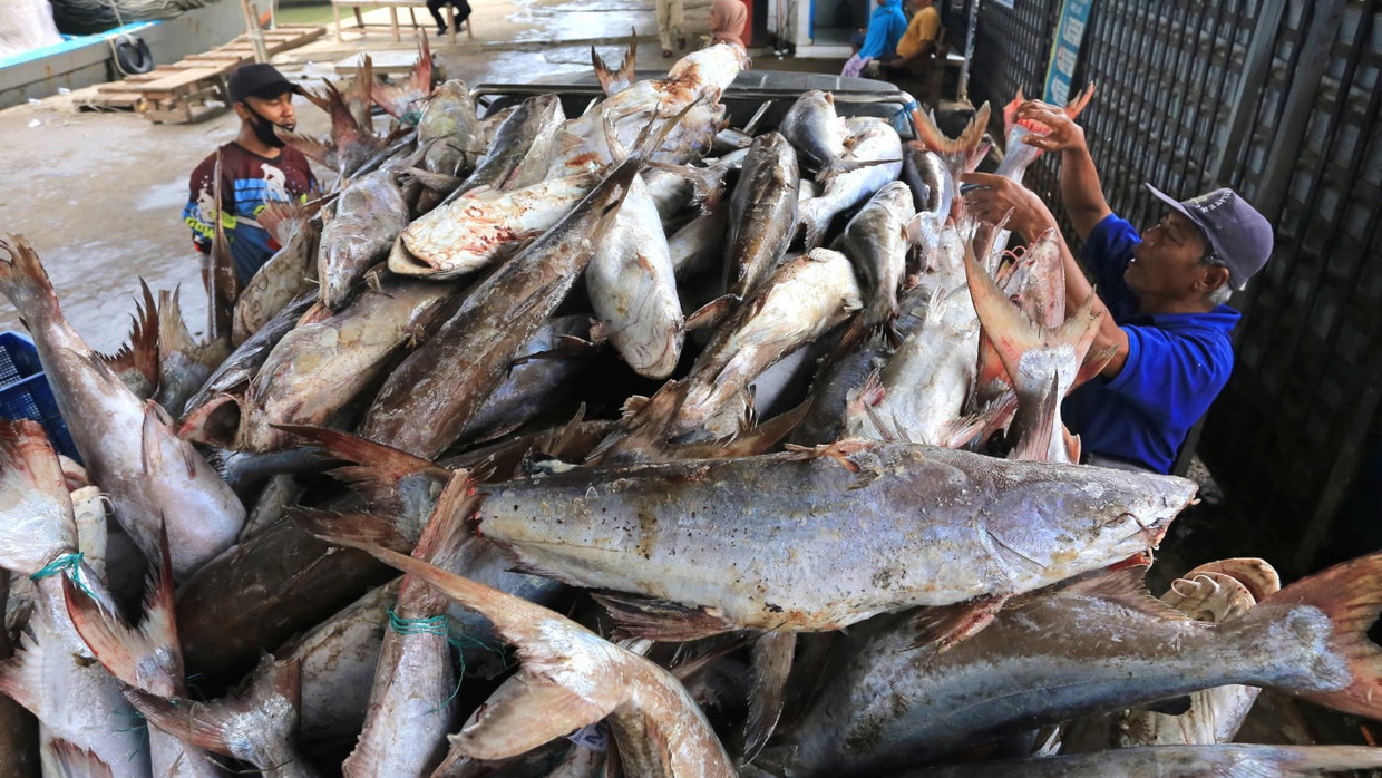 Potensi dan Persebaran Sumber Daya Alam yang Tak Dapat Diperbarui