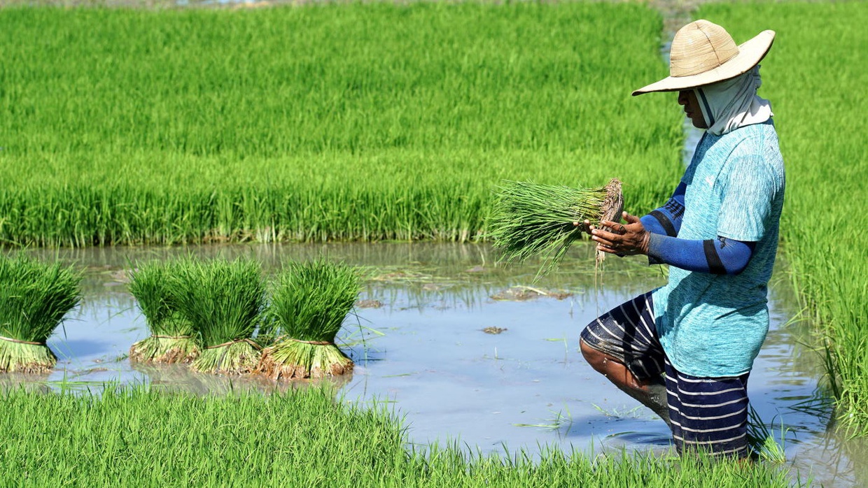 Kemenkeu Siapkan Rp95 Triliun Jaga Ketahanan Pangan di 2023 Kemenkeu Siapkan Rp95 Triliun Jaga Ketahanan Pangan di 2023