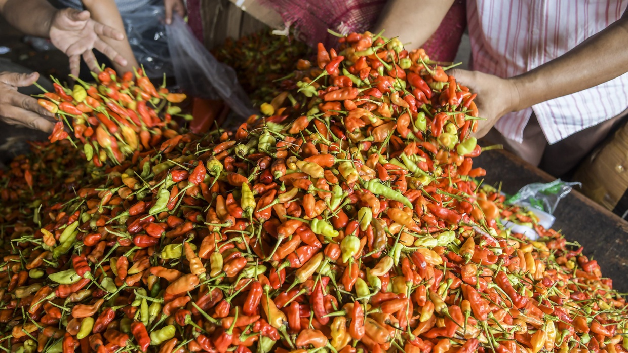 Harga Cabai Melonjak tapi Petani Tak Ikut Menikmati, Pak Zulhas