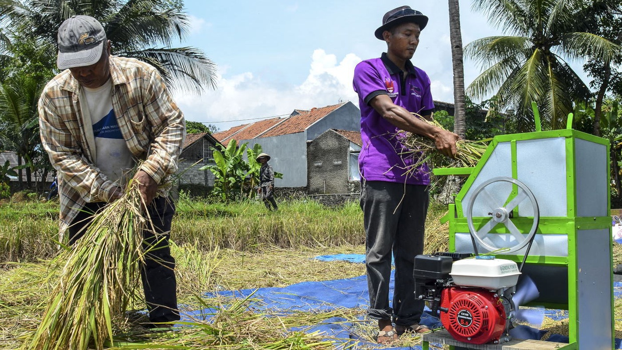 Bapanas Cabut Kebijakan Fleksibilitas Harga Gabah Bapanas Cabut Kebijakan Fleksibilitas Harga Gabah