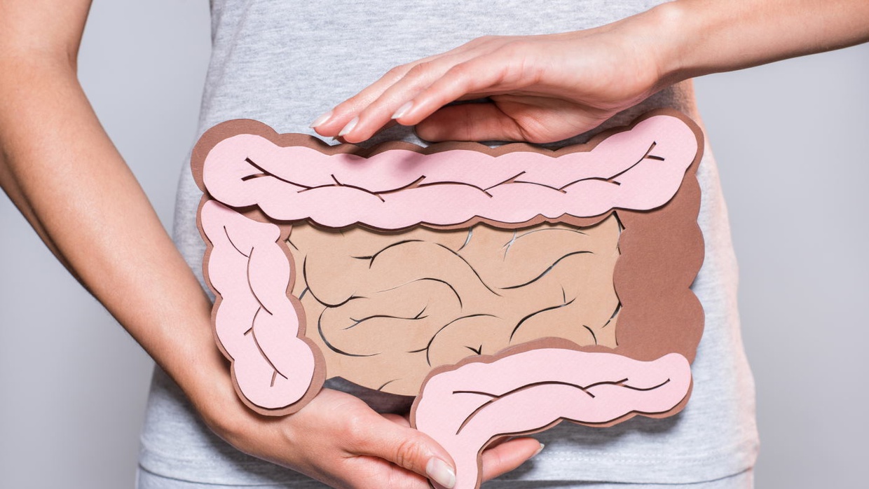 Apa Itu Enzim Ptialin: Fungsi & Kerjanya pada Sistem Pencernaan Apa Itu Enzim Ptialin: Fungsi & Kerjanya pada Sistem Pencernaan