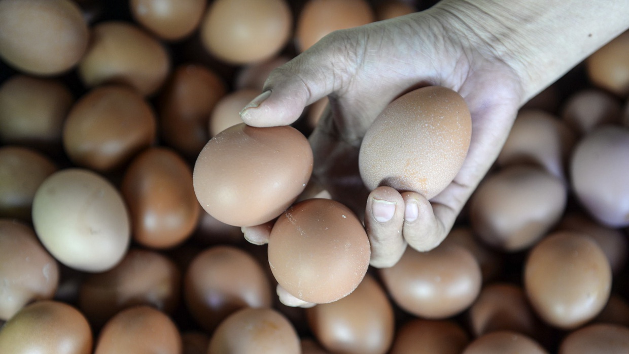 Rangkuman Materi Ekonomi Tentang Pendapatan Nasional