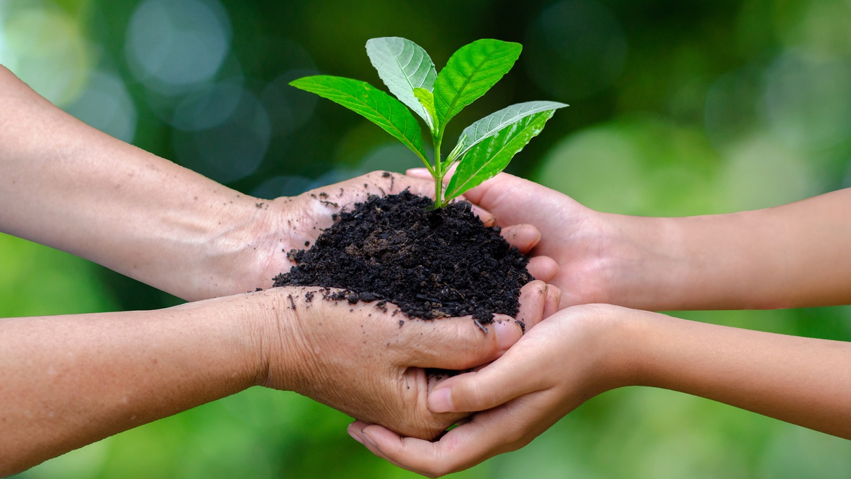 Hari Gerakan Sejuta Pohon: Besarnya Manfaat Hutan untuk Dunia