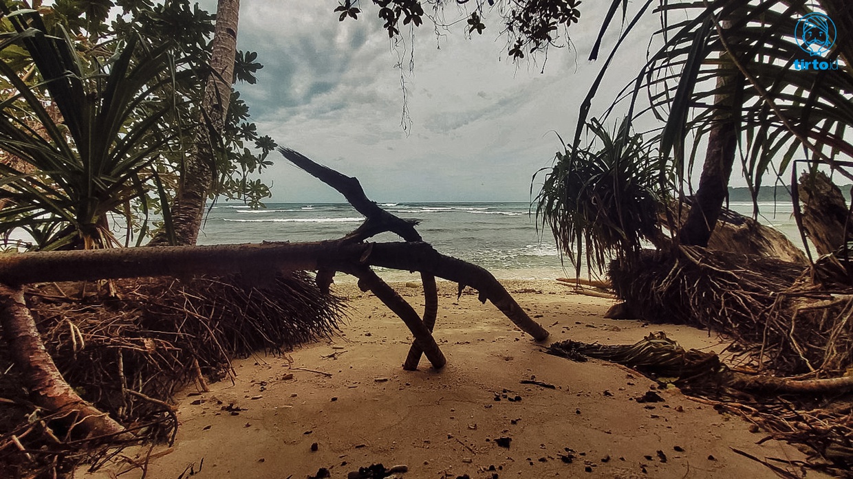 Menelisik Akar Konflik Hak Ulayat di Papua Menelisik Akar Konflik Hak Ulayat di Papua