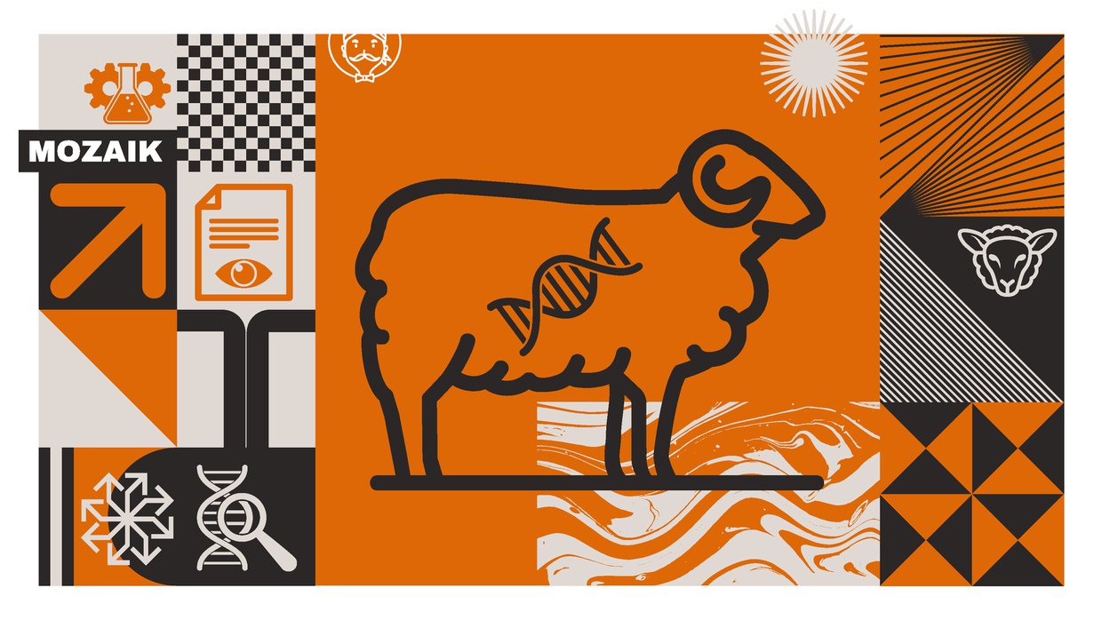 Keberhasilan Kloning Domba Dolly Memantik Debat Moralitas Sains Keberhasilan Kloning Domba Dolly Memantik Debat Moralitas Sains